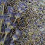 Dried Lavender