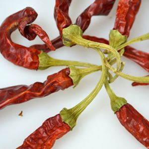 Dried Medium Chillies