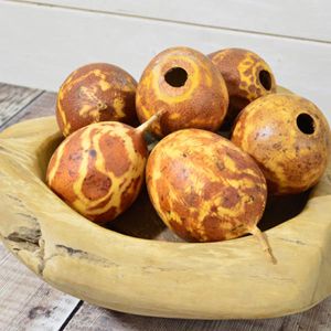 Dried Fired Brown Passion fruit