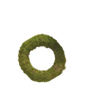 20cm Moss Wreath