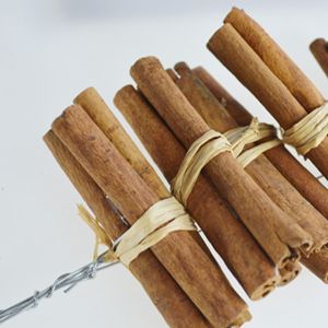 Wired Cinnamon Sticks