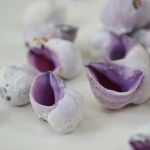 Violet Snail Shells