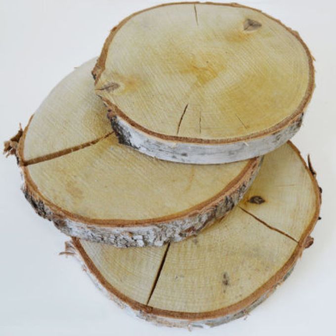 Birch Wood Slice 33 - 40cm