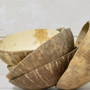 Polished Coconut Bowls