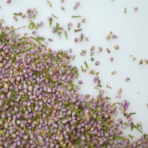 Dried Heather Grains