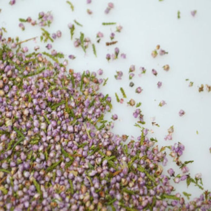 Dried Heather Grains  - 100g